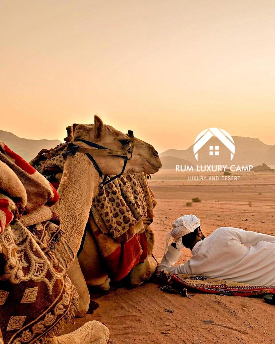 Rum Luxury Camp Wadi Rum Exteriör bild