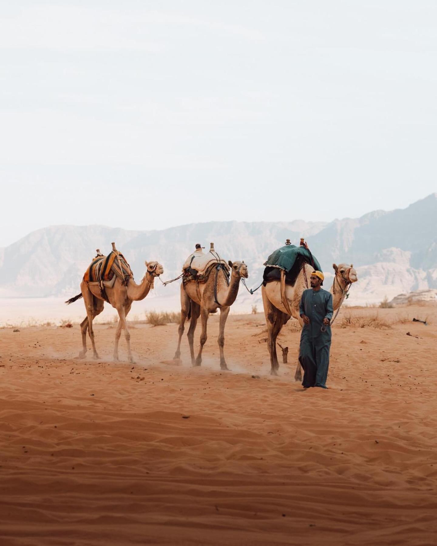 Rum Luxury Camp Wadi Rum Exteriör bild
