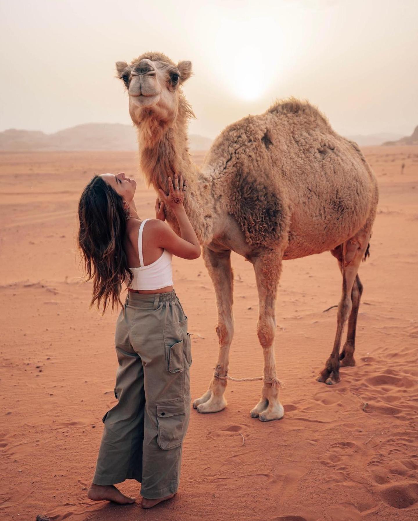 Rum Luxury Camp Wadi Rum Exteriör bild